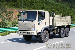 Dongfeng 6*6 ခေါင်းပြားလမ်းကြမ်းထရပ်ကား 
